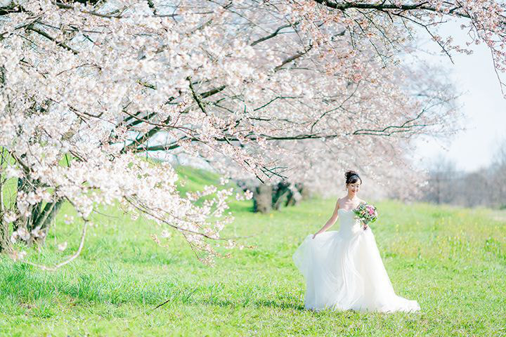 桜並木の中で立つ新婦