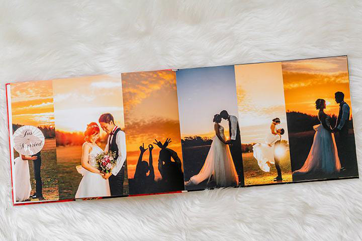 ひまわりのアルバム